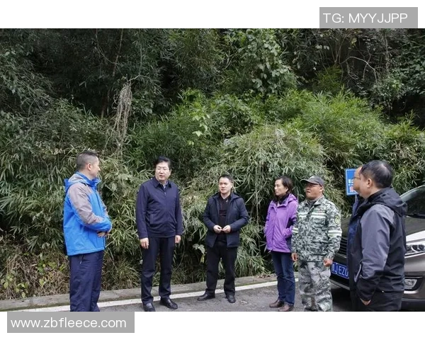 南京攀岩队区域防守分析与战术调整的深度探讨